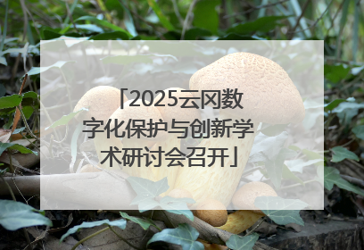2025云冈数字化保护与创新学术研讨会召开