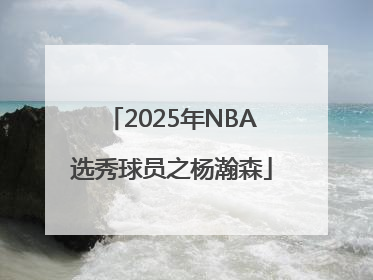 2025年NBA选秀球员之杨瀚森