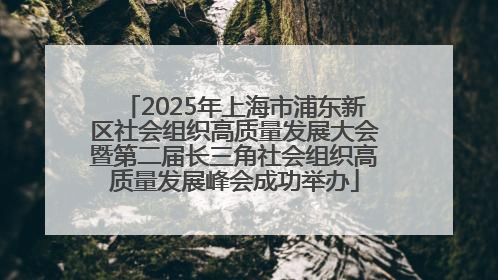 2025年上海市浦东新区社会组织高质量发展大会暨第二届长三角社会组织高质量发展峰会成功举办