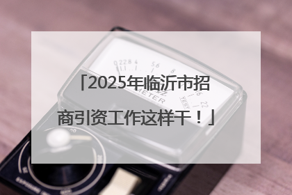 2025年临沂市招商引资工作这样干！