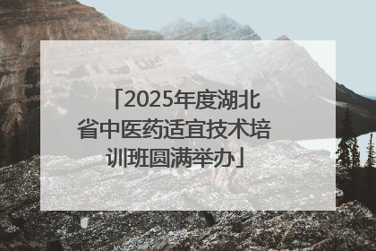2025年度湖北省中医药适宜技术培训班圆满举办