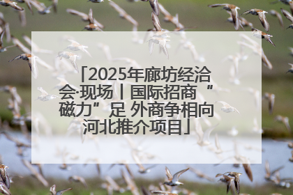 2025年廊坊经洽会·现场丨国际招商“磁力”足 外商争相向河北推介项目