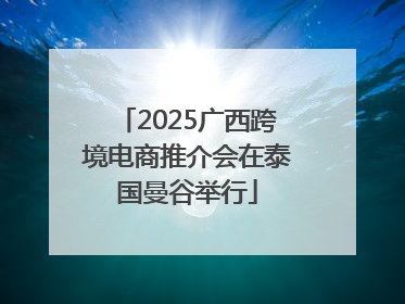 2025广西跨境电商推介会在泰国曼谷举行