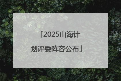 2025山海计划评委阵容公布