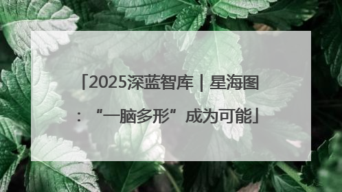 2025深蓝智库｜星海图：“一脑多形”成为可能