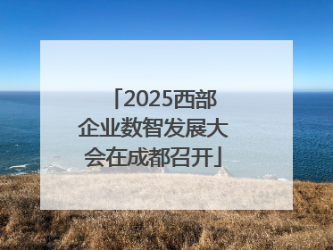 2025西部企业数智发展大会在成都召开
