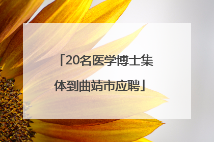 20名医学博士集体到曲靖市应聘