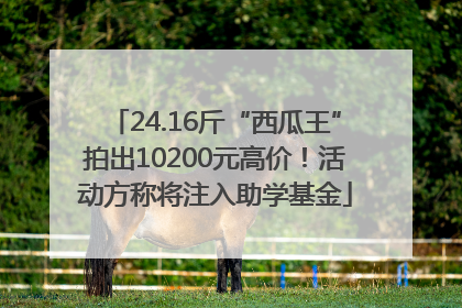 24.16斤“西瓜王”拍出10200元高价！活动方称将注入助学基金