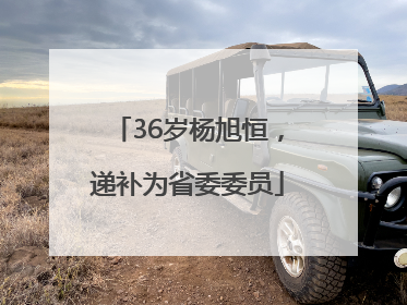 36岁杨旭恒，递补为省委委员