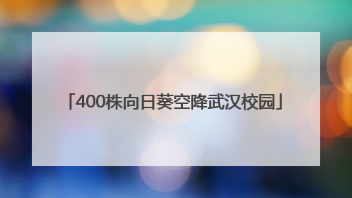 400株向日葵空降武汉校园