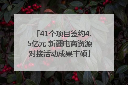 41个项目签约4.5亿元 新疆电商资源对接活动成果丰硕