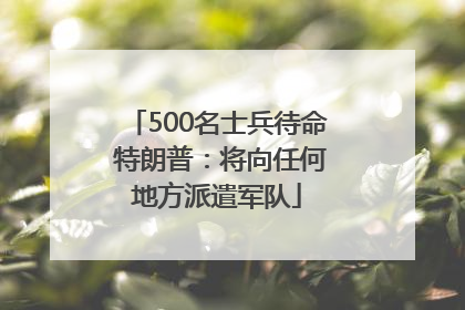 500名士兵待命 特朗普：将向任何地方派遣军队