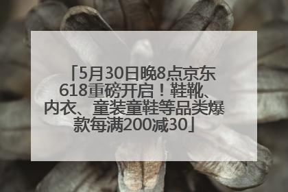 5月30日晚8点京东618重磅开启！鞋靴、内衣、童装童鞋等品类爆款每满200减30