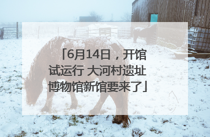 6月14日，开馆试运行 大河村遗址博物馆新馆要来了