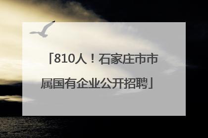 810人！石家庄市市属国有企业公开招聘