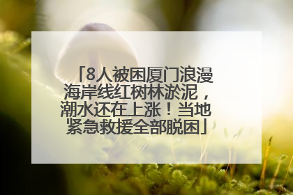 8人被困厦门浪漫海岸线红树林淤泥，潮水还在上涨！当地紧急救援全部脱困
