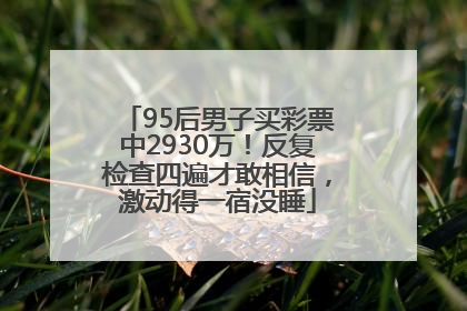 95后男子买彩票中2930万！反复检查四遍才敢相信，激动得一宿没睡