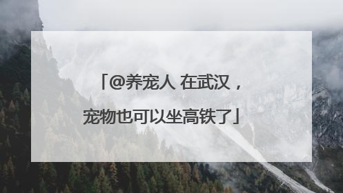 @养宠人 在武汉，宠物也可以坐高铁了