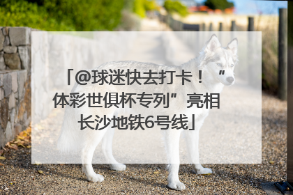 @球迷快去打卡！“体彩世俱杯专列”亮相长沙地铁6号线