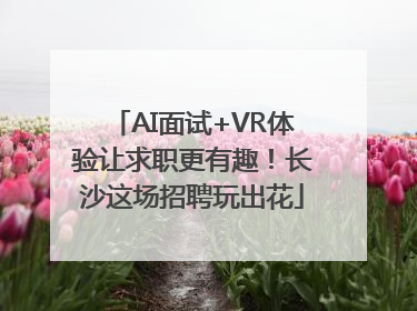 AI面试+VR体验让求职更有趣！长沙这场招聘玩出花