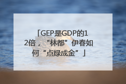 GEP是GDP的12倍，“林都”伊春如何“点绿成金”