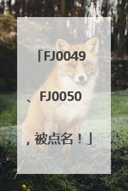 FJ0049、FJ0050，被点名！