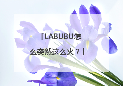 LABUBU怎么突然这么火？