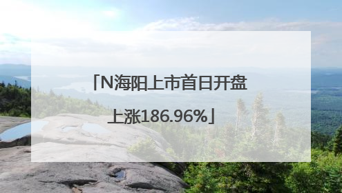 N海阳上市首日开盘上涨186.96%
